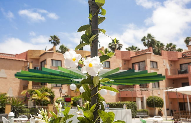 Hotel Villa Mandi Golf Resort - Foto 55