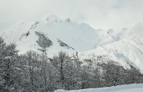 Joubarbe Rose by Lodji - Foto 57