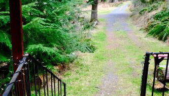 Cedar at Rainier Lodge (0.4 m from Mt.Rainier) - Foto 5, Garden view