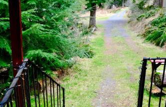 Cedar at Rainier Lodge (0.4 m from Mt.Rainier) - Photo 5
