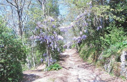 Villa Montecasciano - Foto 41