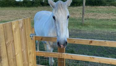 Mowbray Stable Cottages - Foto 2