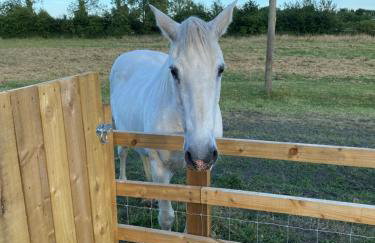 Mowbray Stable Cottages - Foto 2