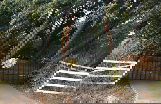 CDNH Villa at Katy Lake - Foto 52