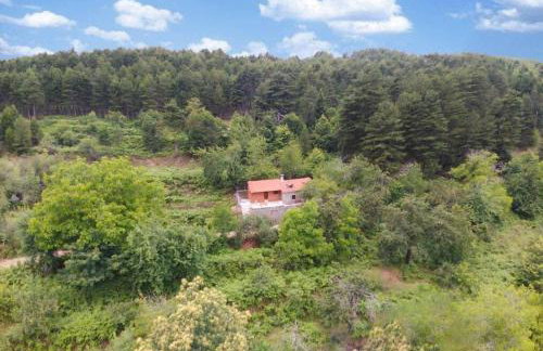 Stone Forest Escape - Cozy Cinema & Starry Sky - Foto 37