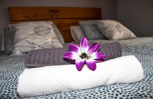 Family Dreams - Foto 39