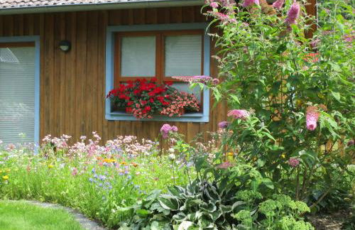 Studioferienhaus Herzogstadt-Celle - Foto 22