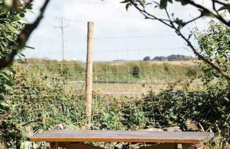 Charming Cornish Cottage, Portreath, Dogs Welcome - Foto 28