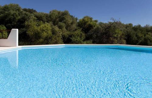 Charming house in San Pantaleo - Photo 4