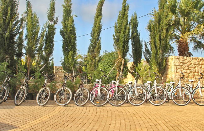 Bella Elena - Photo 25