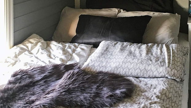 Holiday Home in BjarkÃ¸y - Photo 3