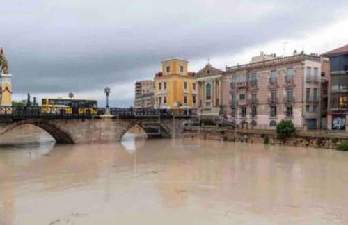 Centro Plaza Sardoy - Foto 41