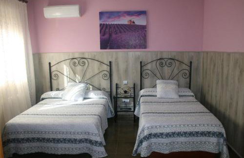 Flor de la Jara - Foto 79