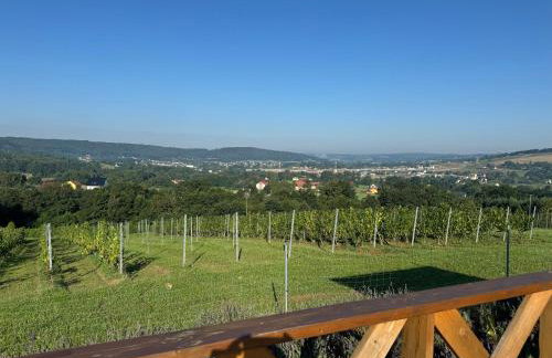 Willa Winnica Maria Anna - Foto 10