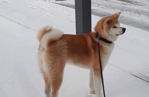 Appartamenti Paolo - Foto 28