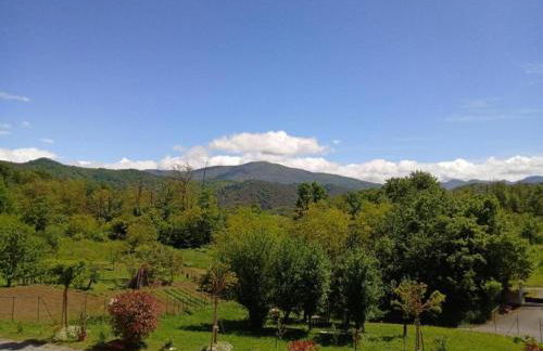 Guest House in Monferrato with Wine Tasting - Foto 67