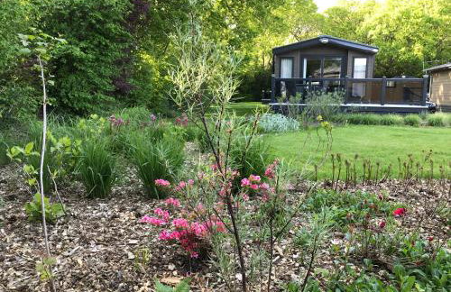 New Forest holiday lodge - Foto 12