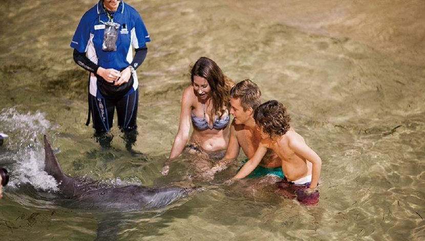 Crociera di un giorno per l'avvistamento delle balene all'isola di Tangalooma - Foto 3