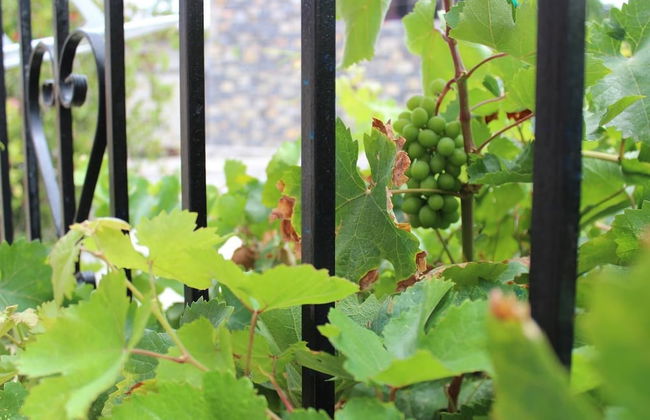 Roes apartments - Foto 28