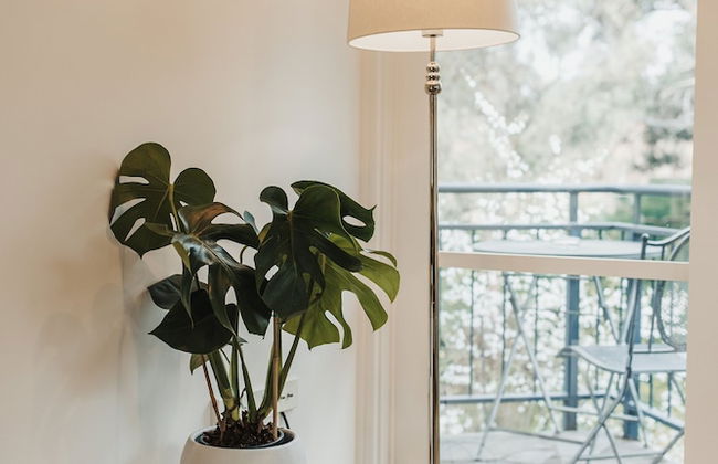 The Mill Apartments - Foto 11