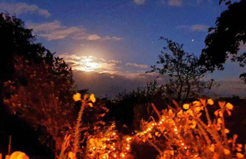 Klein-Tjücher-Grashaus 4 - Foto 34