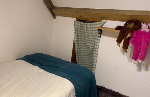 Molland Manor House Self catering (10 bedrooms 9 bathrooms) - Foto 52