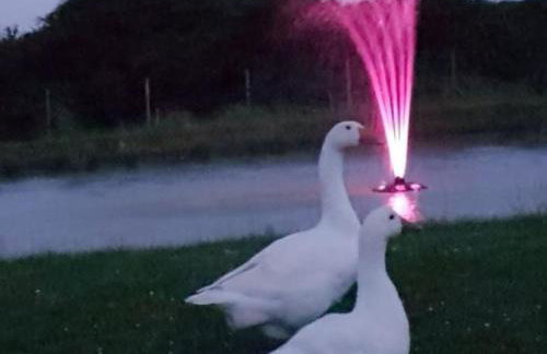 Jurassic Loft Apartment - Foto 17