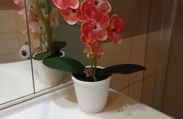 Casa Orchidea - Photo 21