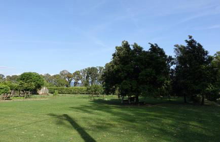 Casa Vacanze Feudi 1165 - Foto 17