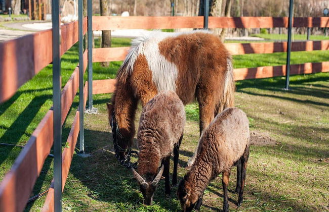 Holiday Home in Niechorze Near Baltic Beach - Photo 27
