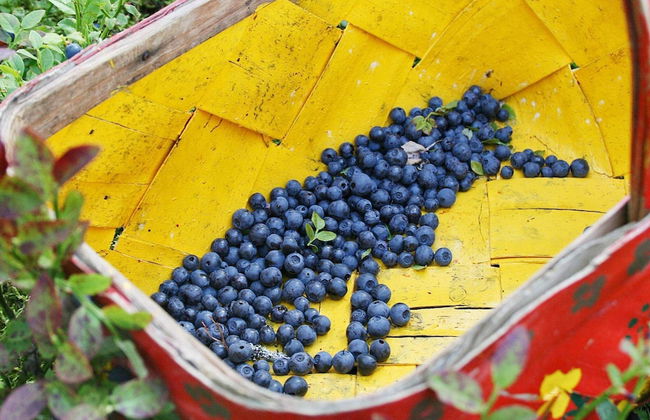 4 Star Holiday Home in Jorlanda-by Traum - Foto 27