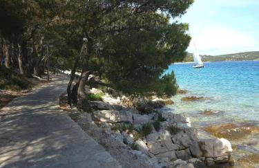 Vila Regina Apartment Rex with Swimming Pool - Photo 7