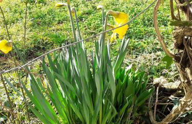 Gites au fil des châteaux de la Loire - Foto 21