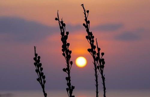 Da Marta Appartamento VISTA MARE MOZZAFIATO ISOLA ROSSA - Photo 11