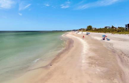 Cheerful Pelican on Anna Maria Island - Photo 47
