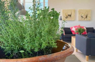 French Idyll In Authentic Village - Foto 16