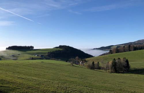Ferienwohnung am Schneeberg - Foto 10