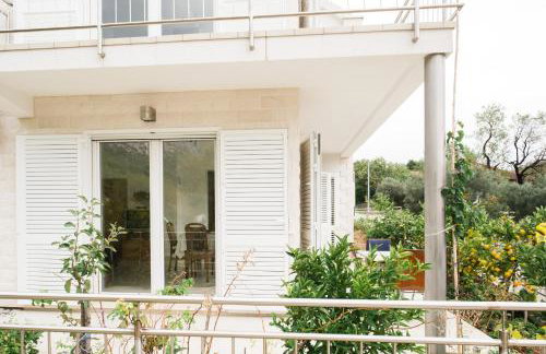 Sunce i More - Photo 19