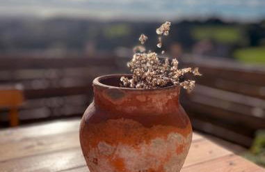 Alto el Monte 2 - AR1414 - Foto 6