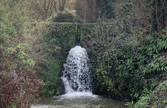 Little Norton Mill - Photo 13