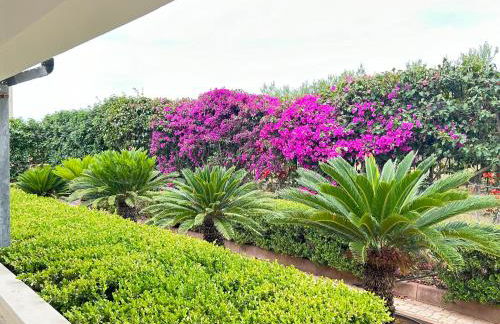 Villa Rachele con piscina - Foto 13