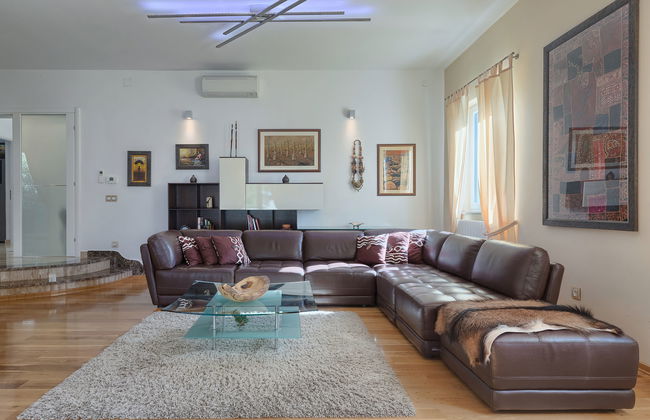 Salamander - Foto 36