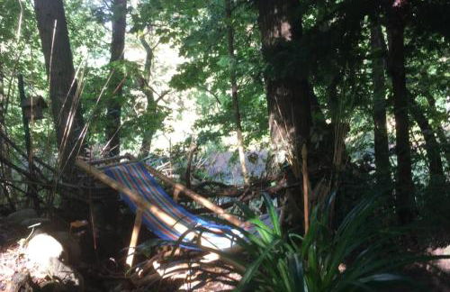 WaldFloß am Silbersee - Nature Pure Life! - Foto 7