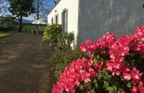 South Doll Farm Cottage - Foto 11