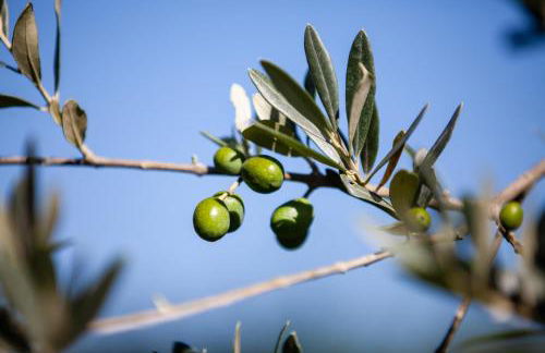 La Casina di Campagna - Photo 19
