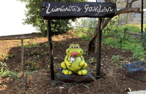 Quinta da Colina - Foto 16