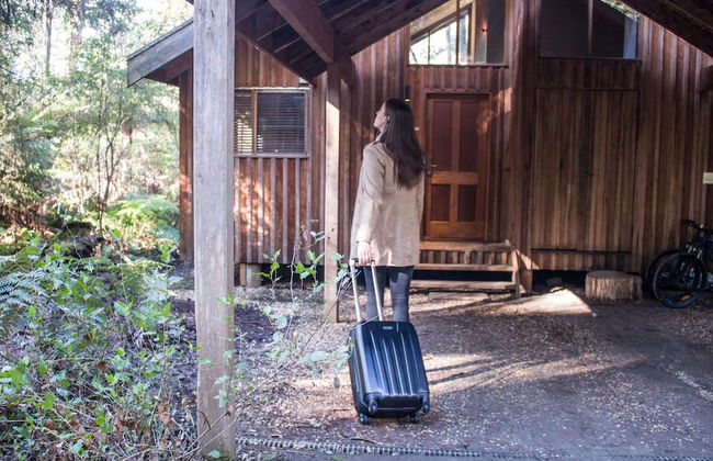 Woodlands Rainforest Retreat - Foto 28