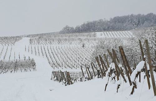 Gîte des Seigneurs 2 - Foto 13