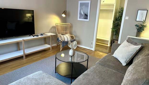Cozy City Apartment in Heart of Södermalm - Foto 5, Area soggiorno