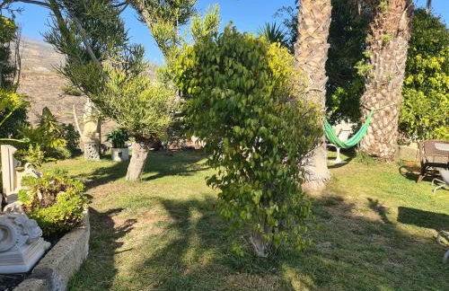 Finca Tropical - Foto 31